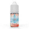 Fruits Rouges Concentré Granita Soft 30ml